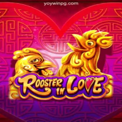 Discovering RoosterInLove: A Dynamic Game for Thrill-Seekers